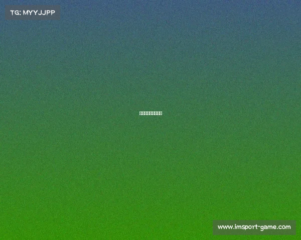 篮球场上的亮眼新星